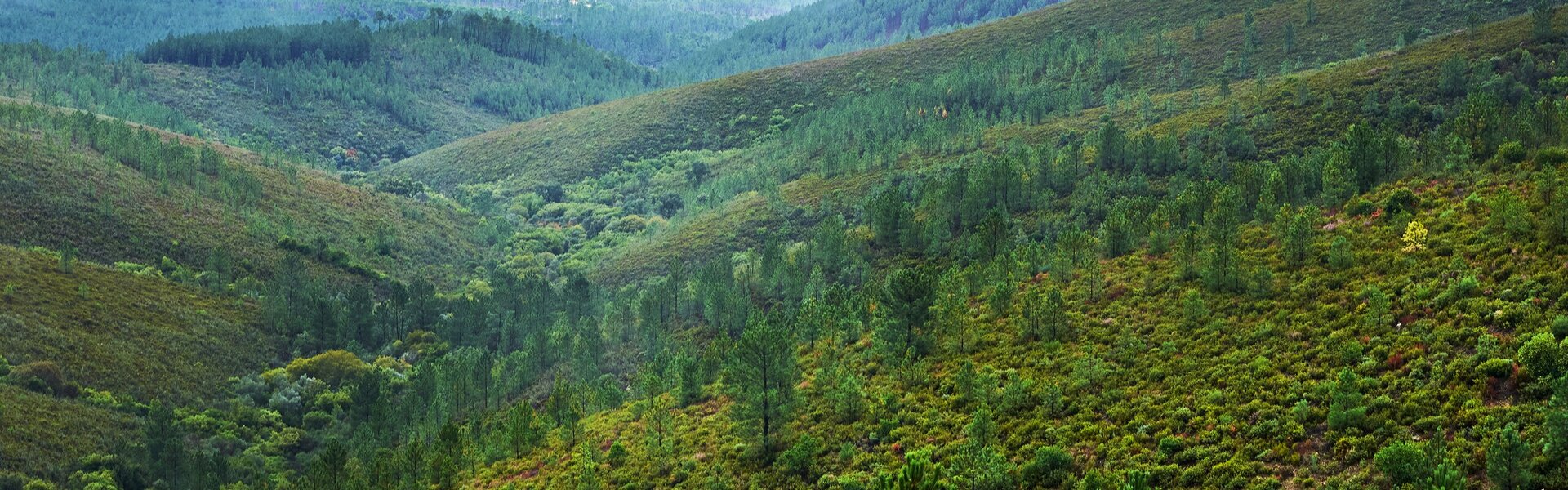 Serra da Malcata