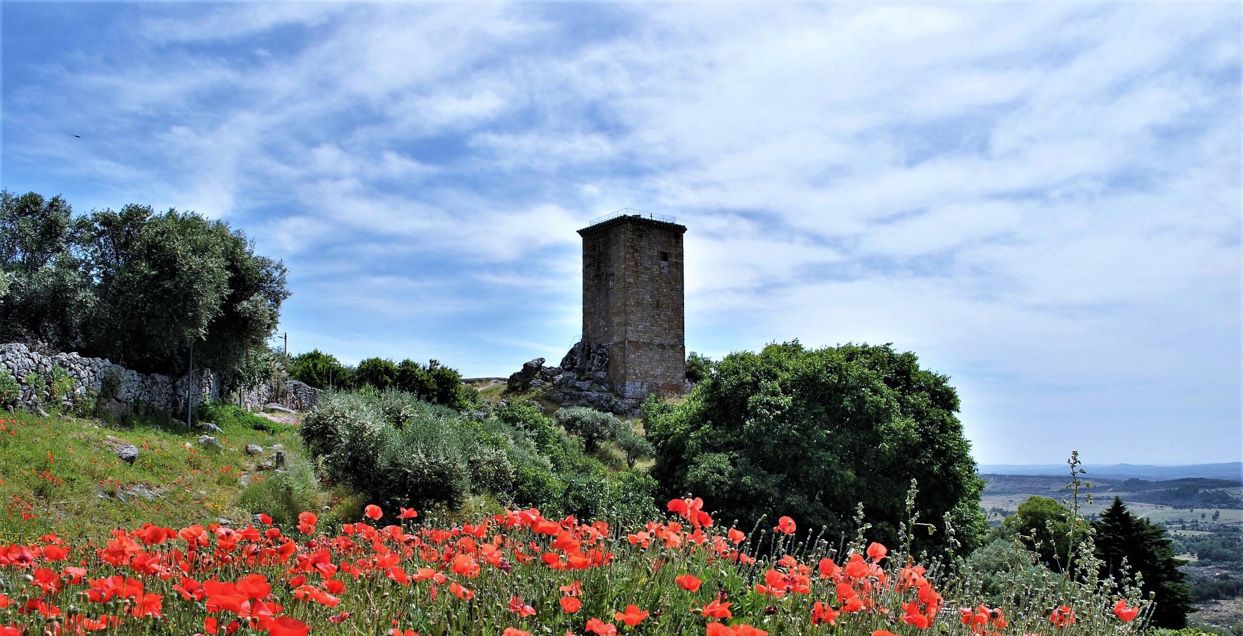Torre de Menagem em Penamacor