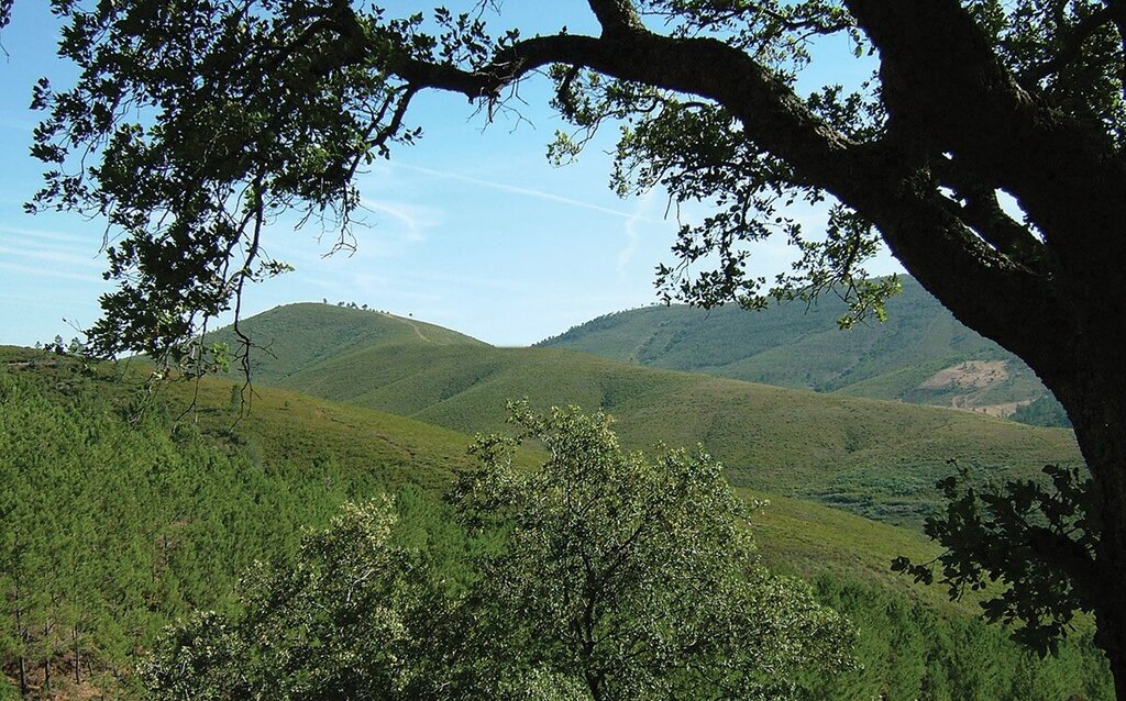 reservanaturaldaserradamalcata_1_1024_2500