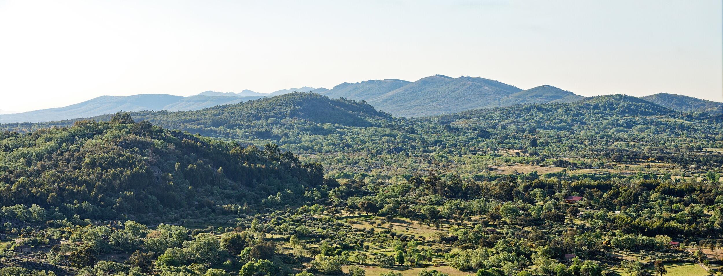 Penamacor