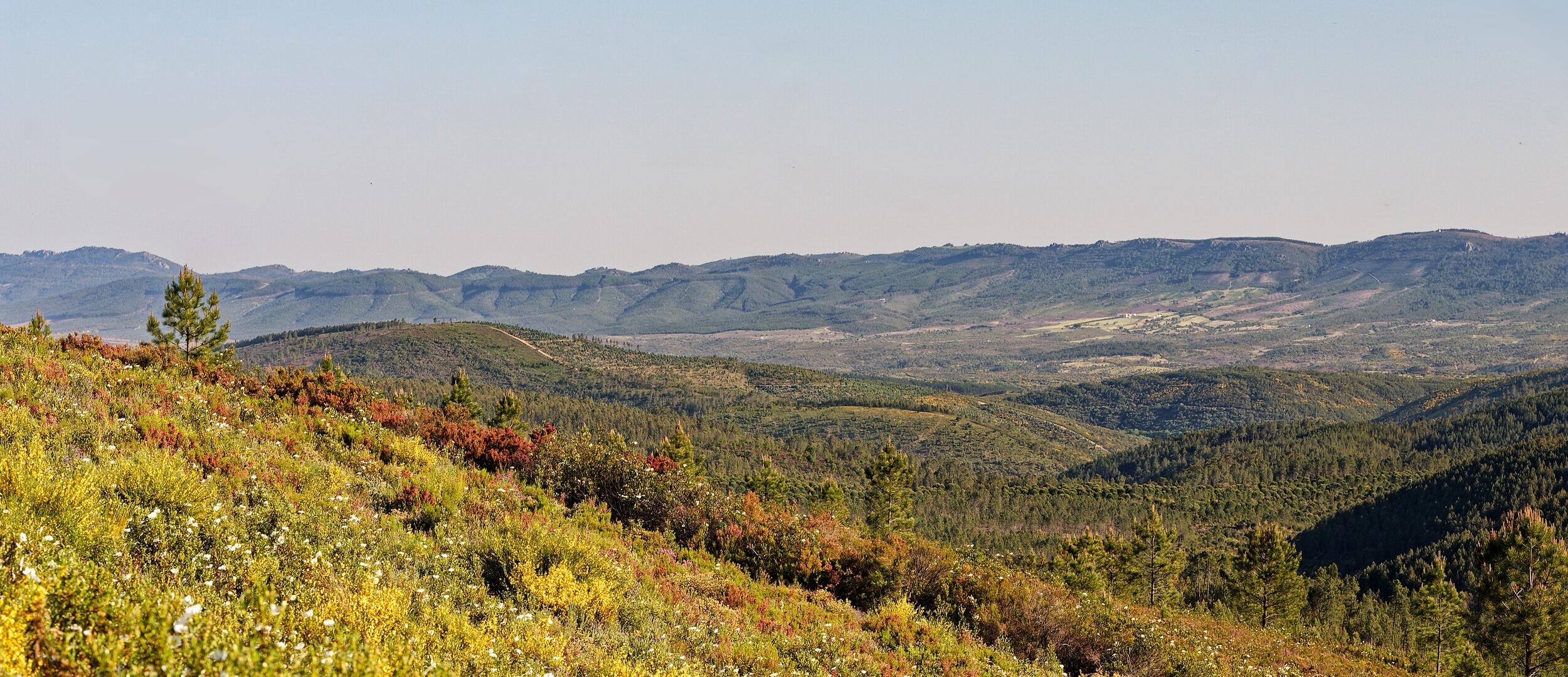 Serra da Malcata