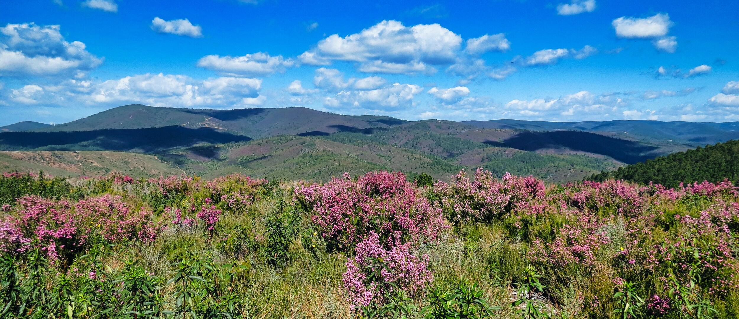 Serra da Malcata